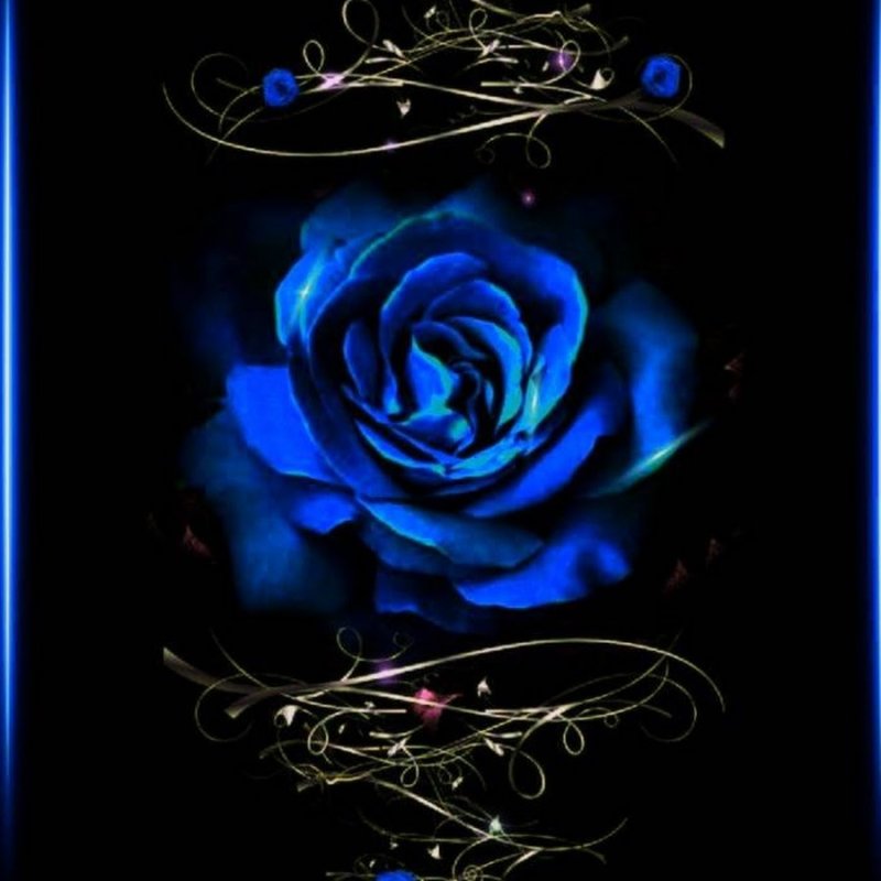 Темно синие цветы