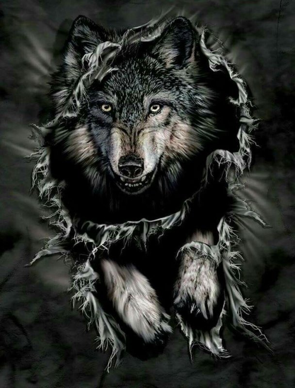 Оскал волка