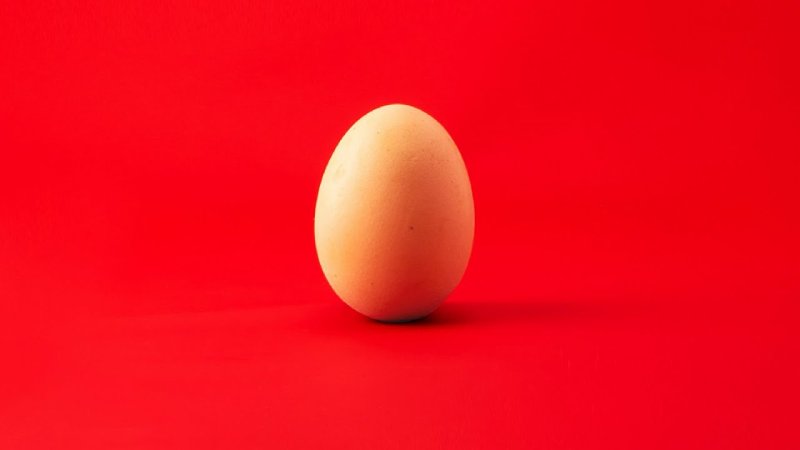 Куриные яйца