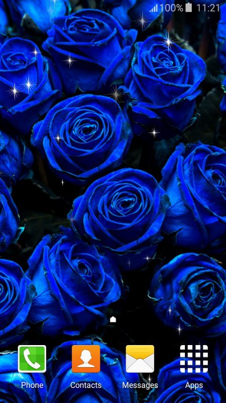 Синие розы фон