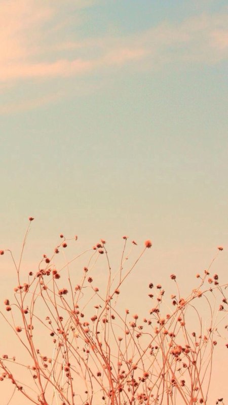 Пастельный фон