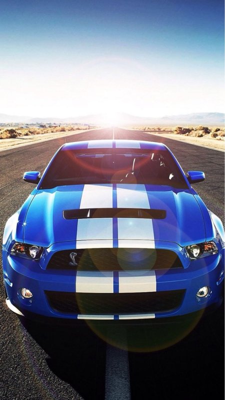 Mustang Shelby gt500