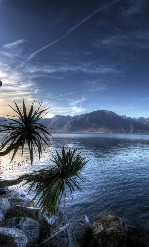 Обои на рабочий стол вертикальные