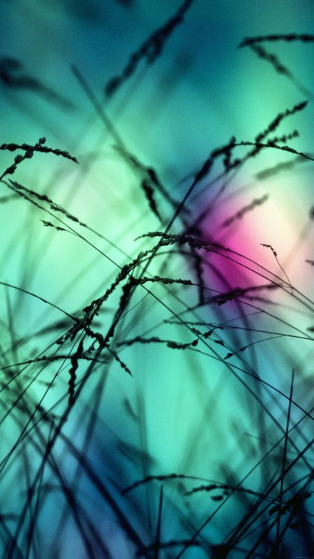 Красивые обои на телефон