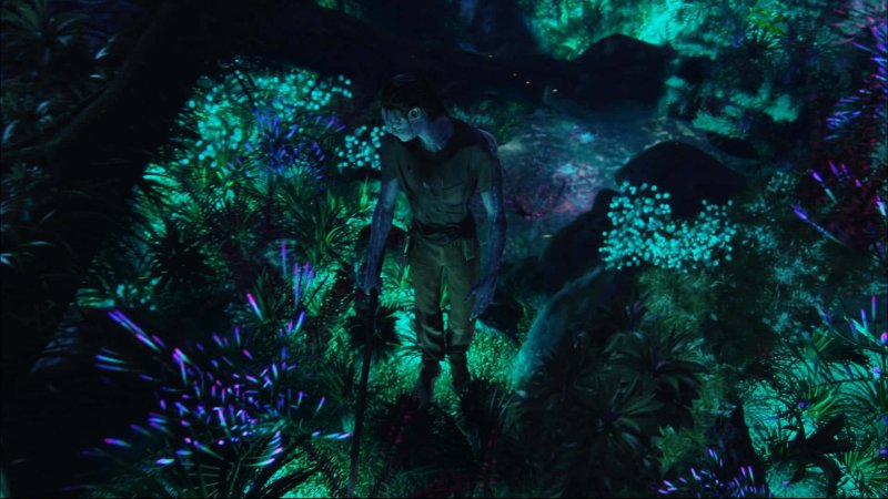 Планета Пандора аватар