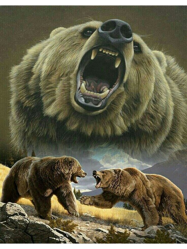 Гризли Grizzly, Гризли, медведь.