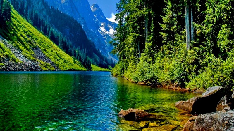 Красивая природа