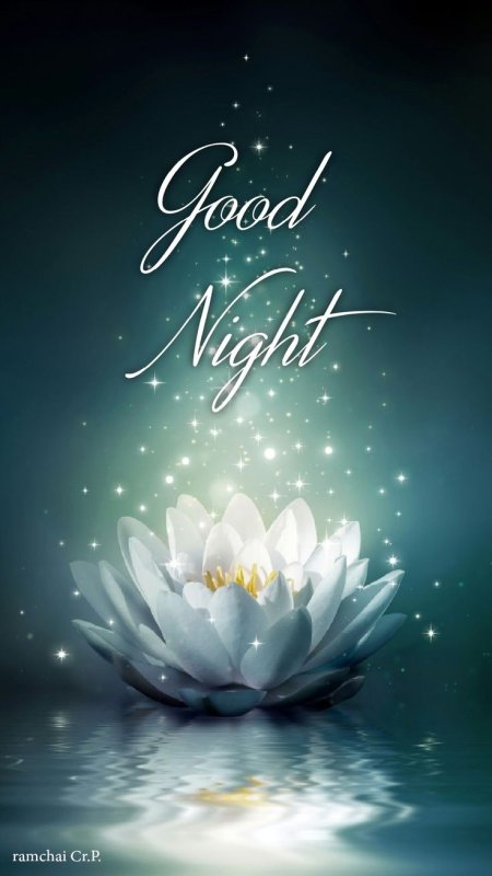 Лотос картинка