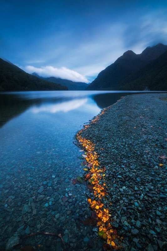 Природа красивая Вертикаль