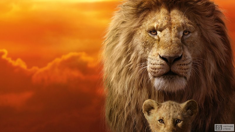 Король Лев 2019 Муфаса и Симба