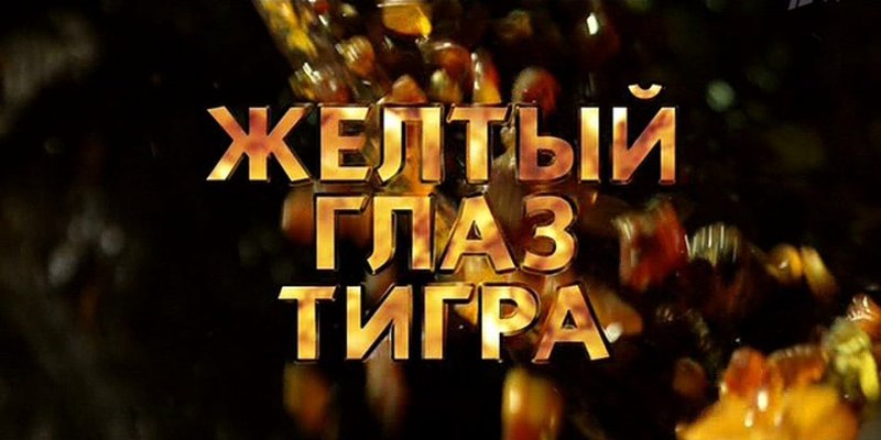 Жёлтый глаз тигра