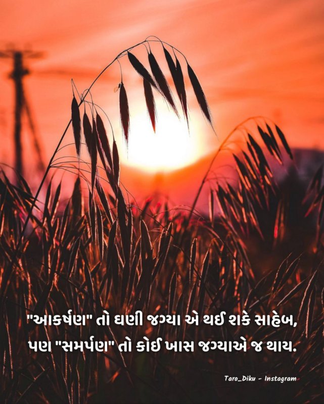 Трава на рассвете