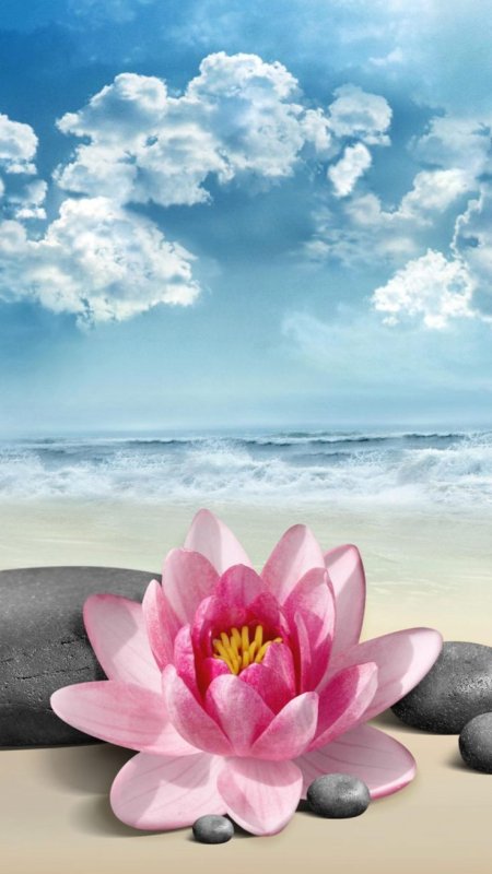 Красивые обои на телефон