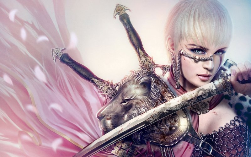 Воительница Эрин аниме