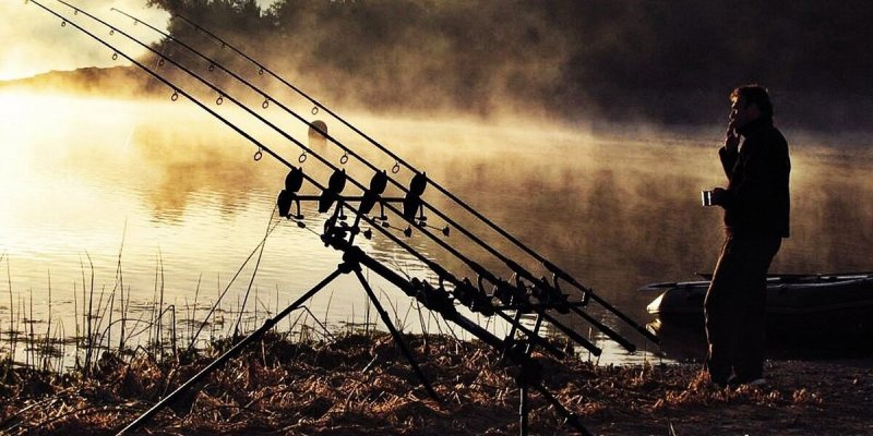 Фидер (Рыбная ловля)