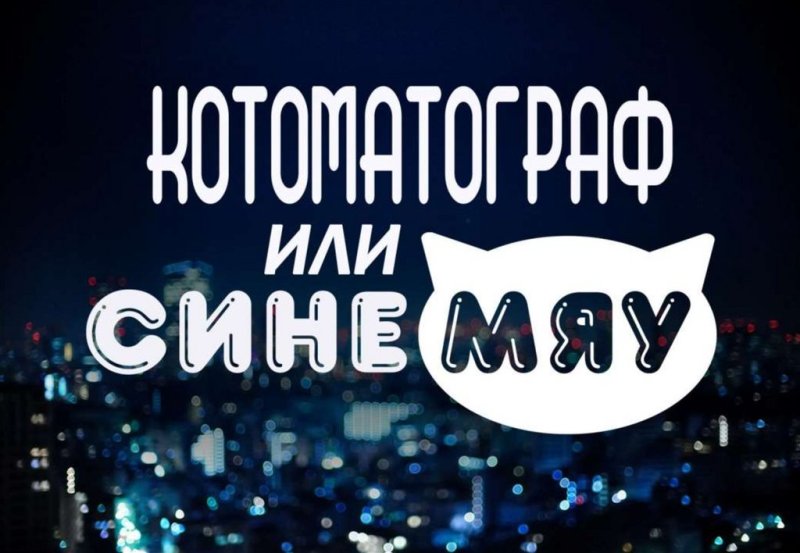 Котоматограф или синемяу / котофильм