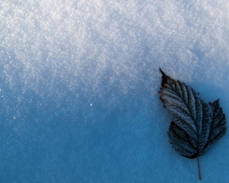 Зима Минимализм