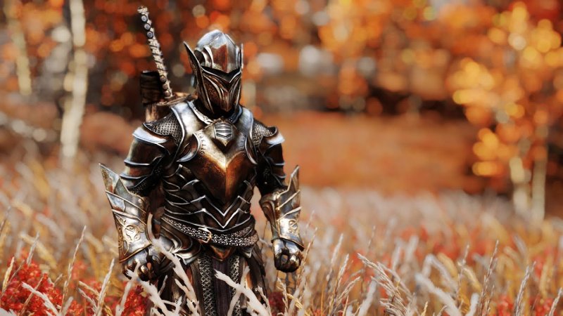 Рыцари, Паладины, Храмовники