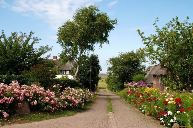 Сад в деревне