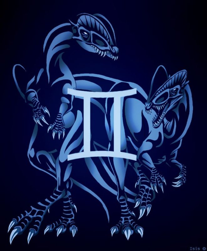 Знак близнецов красивое