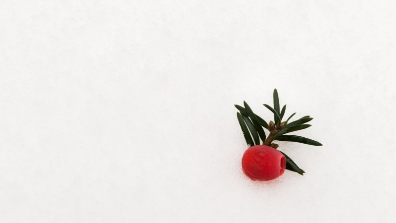 Обои Минимализм