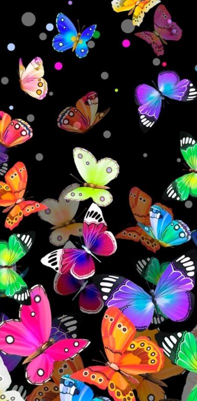 Красивые разноцветные бабочки