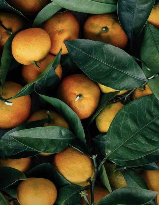 Танжерин зеленый