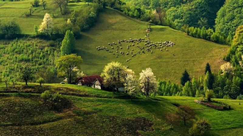 Пейзаж,холмы,Церковь Моравия