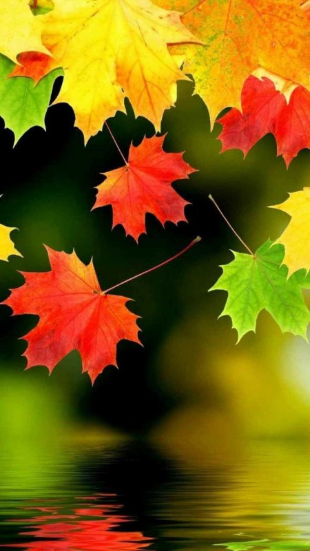 Осень картинки