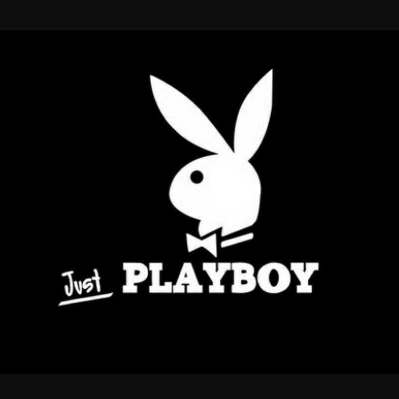 Кролик плейбой