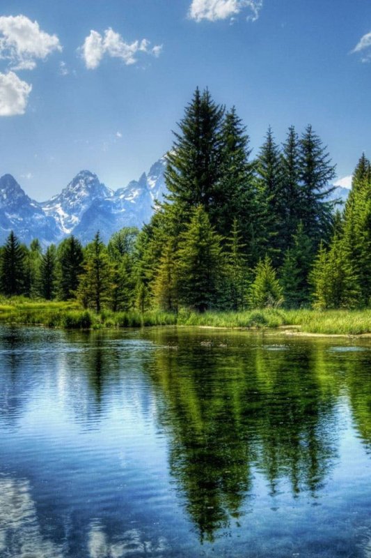 Горы лес озеро