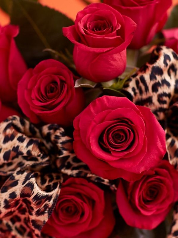 Красный цветок