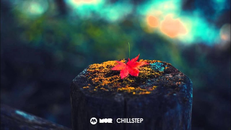 Макросъемка осень