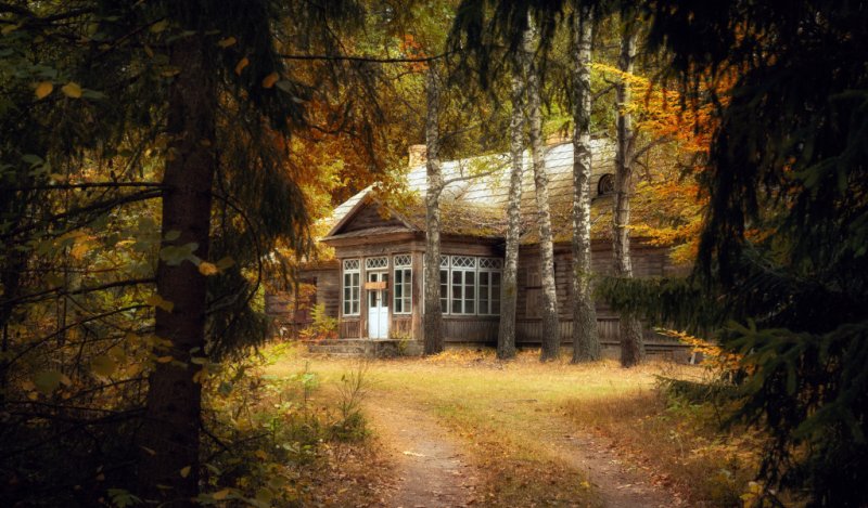 Друскининкай лес избушка