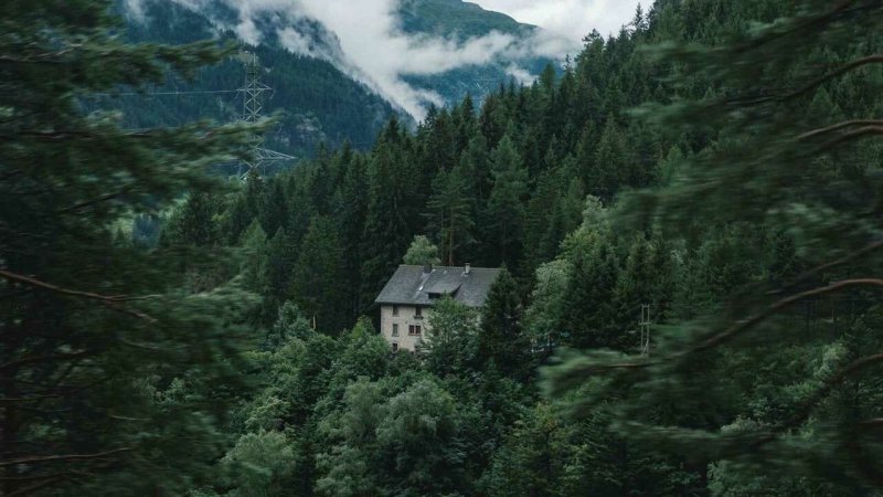 Форкс штат Вашингтон природа