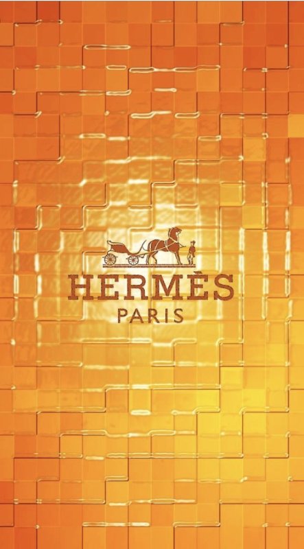 Hermes логотип