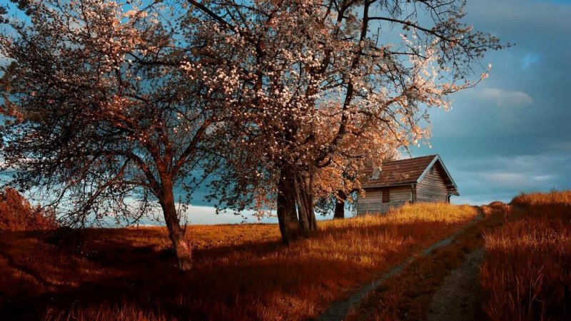 Весна природа деревня