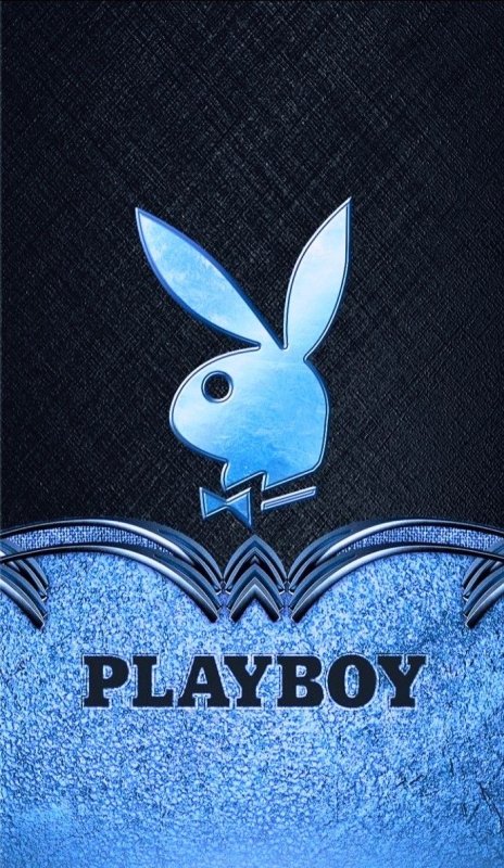 Кролик плейбой