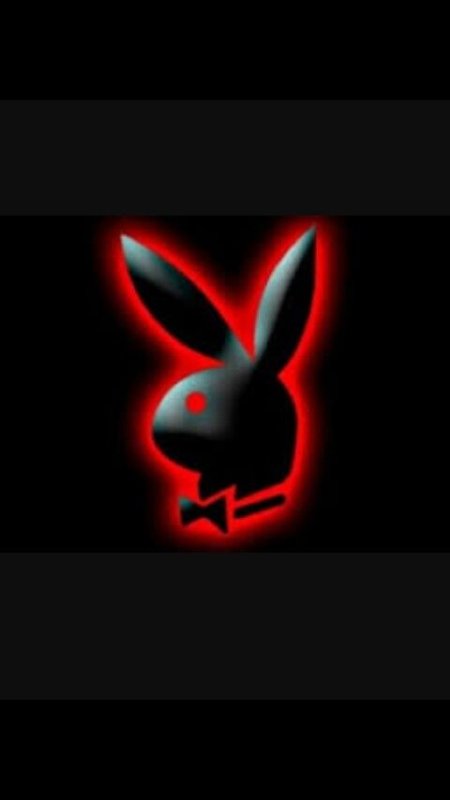 Заяц плейбой