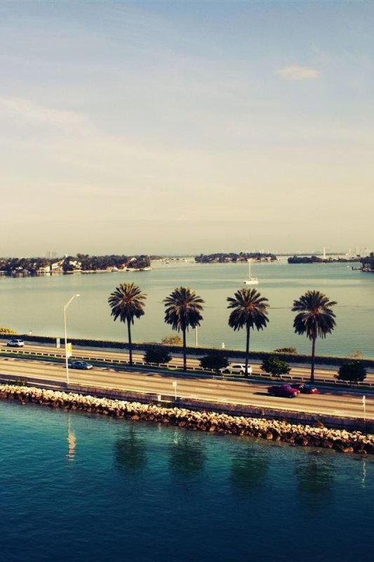 Калифорния Майами Флорида