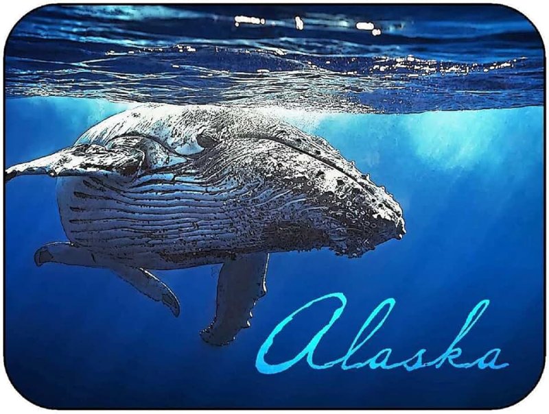 Кит Горбач альбинос