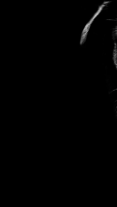 Черно белые заставки