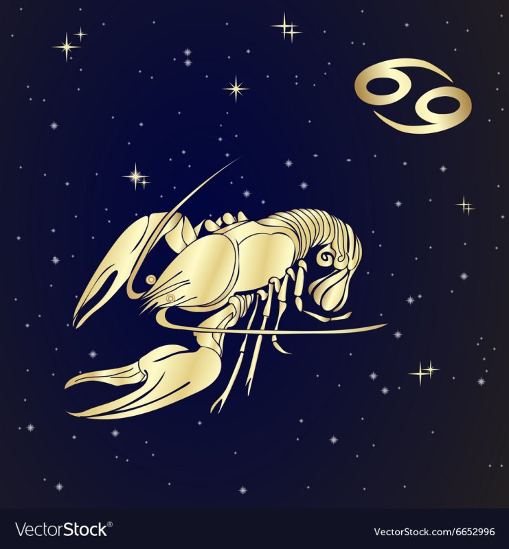 Знаки зодиака на Звездном небе