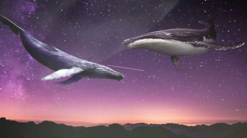 Небесный кит Геншин