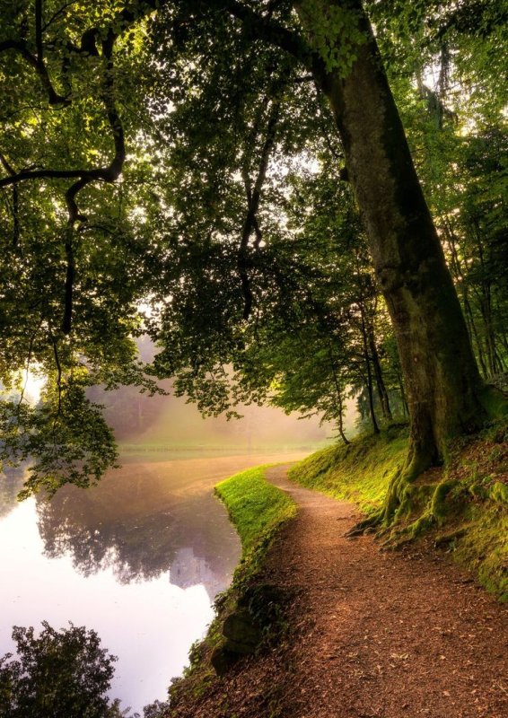 Красивый пейзаж