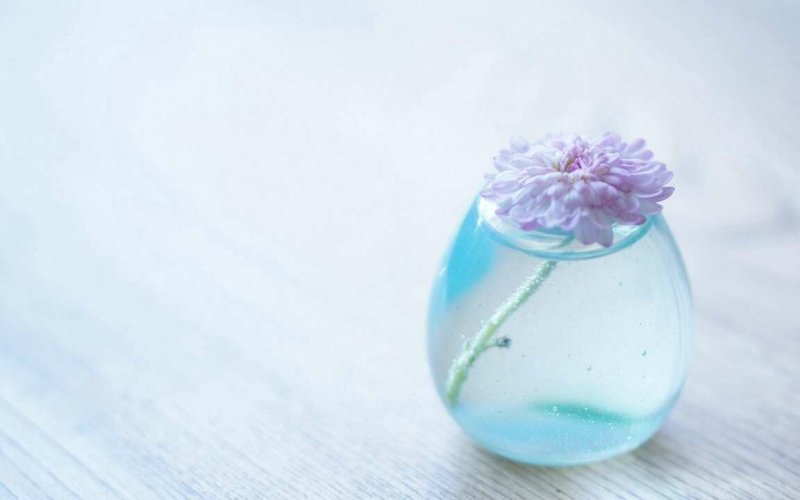 Цветы в круглой вазе из стекла