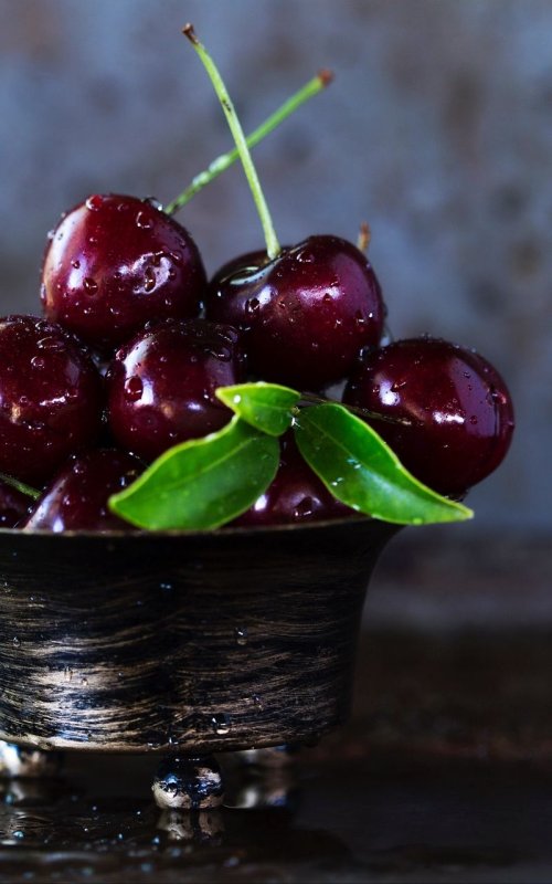 Вишня черная Шоколадница
