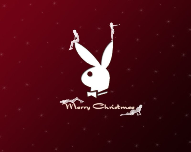 Кролик обои