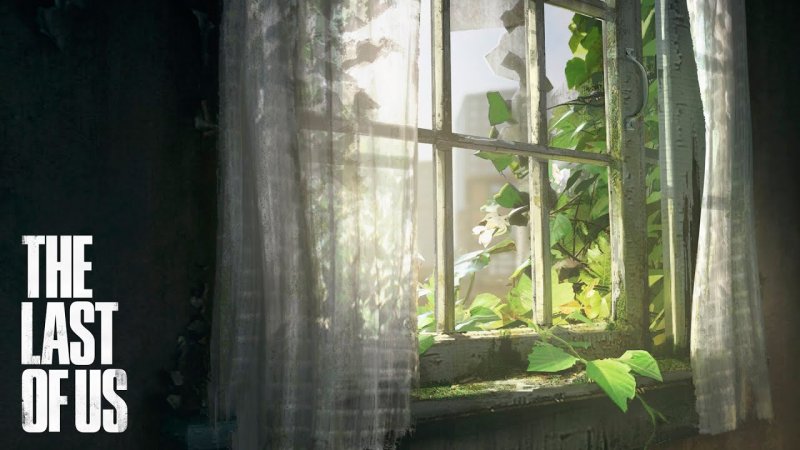 Окно в природу