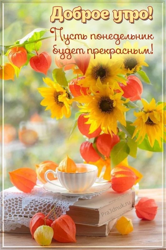 Светлого утра